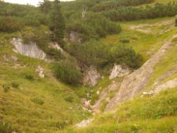 2013-09-08_6Falkenh-Steinfalk (080).JPG